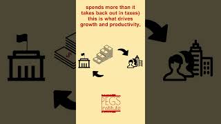 Government Spending is Public Savings
