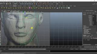 face03