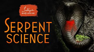Serpent Science  The Truth about Snakes' Impact on Your Life | Sadhguru Exclusive #NagaDosha
