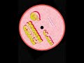 Johann ZU - Stuck in Delay [ZAPPED REDORDS]