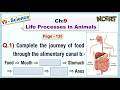 Ch:9 - Q.1) Complete the journey of food through the alimentary canal : Food - Mouth - ___ - Stomach