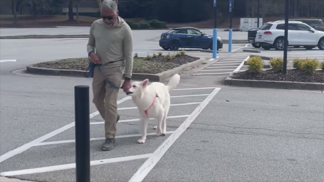 Hounds Around Town 2-20-26