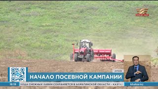 Посевная кампания началась в области Абай