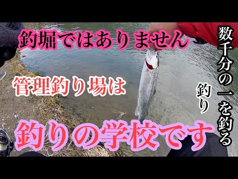 新しい　釣りを始めました　管理釣り場初心者はこうなりました
