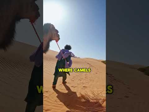 Morocco Sahara Souks Atlas Magic Morocco Travel Explore 