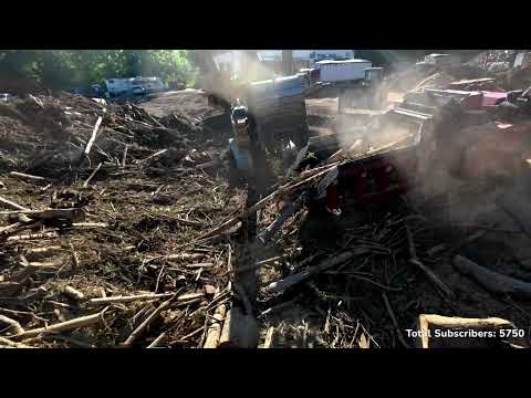 Grind Time Bandit Beast making WOOD CHIPS episode 40