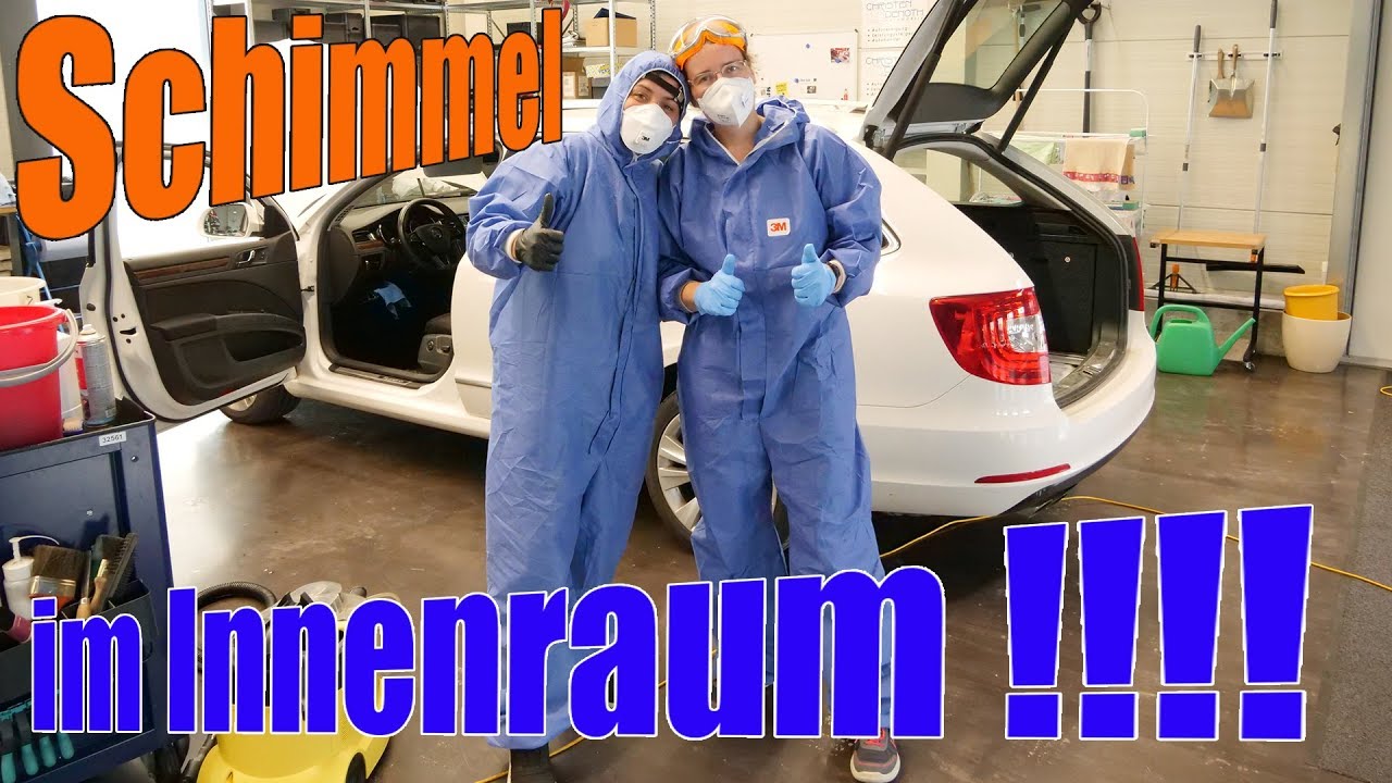 Schimmel im Auto entfernen - so klappt's