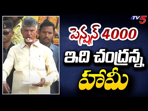 పెన్షన్ 4000..| Chandrababu Comments On Pension Hike | AP Elections 2024 | TV5 News - TV5NEWS