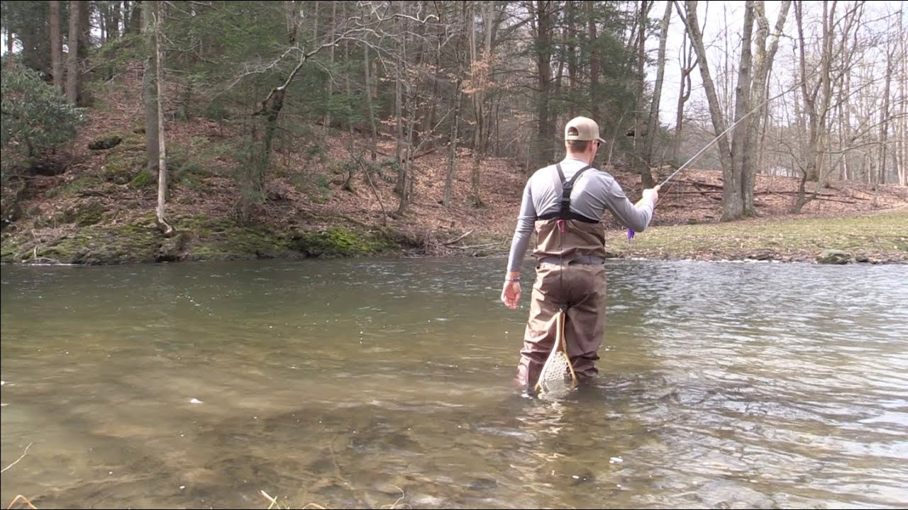 2022 Trout Fishing PA Delayed Harvest Center pin fishing for Trout Ep 1 YouTube