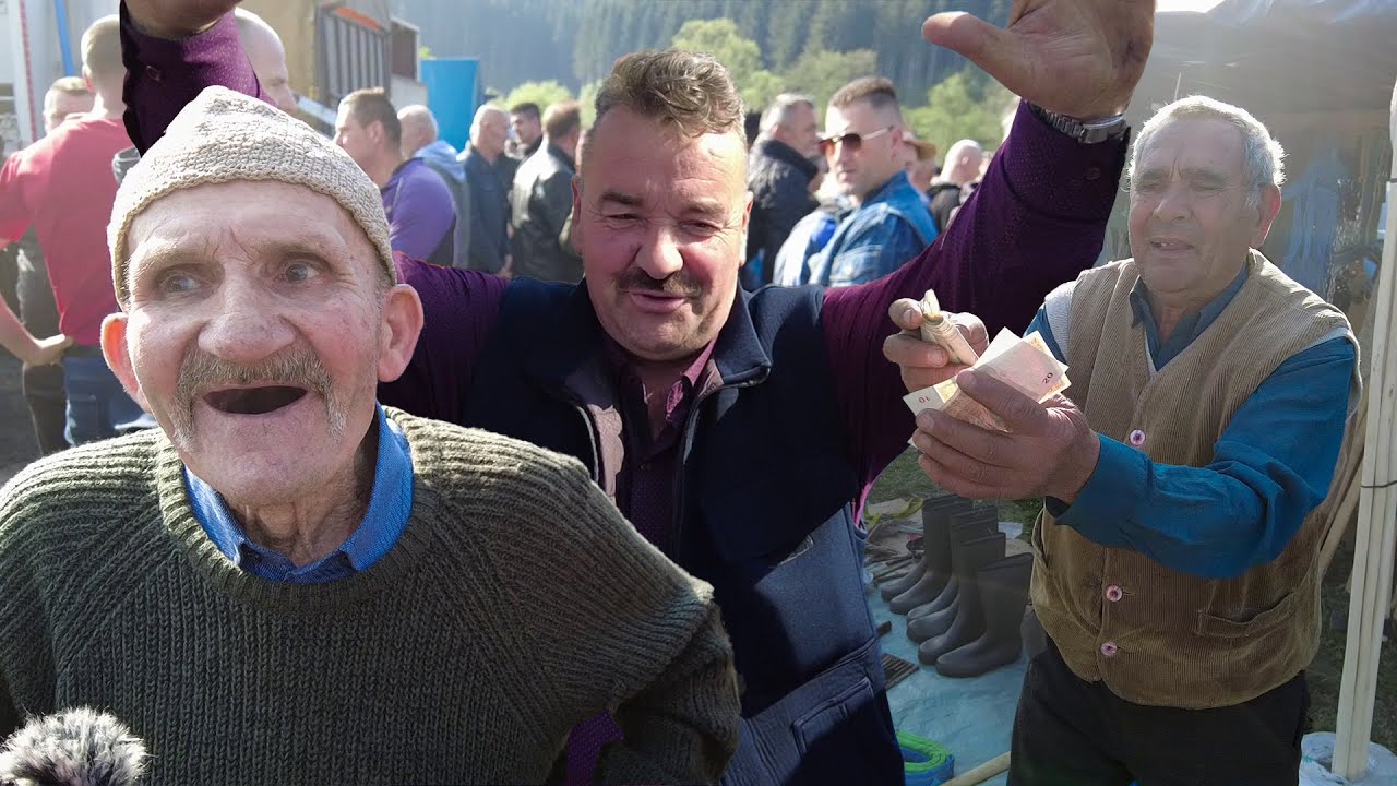 NIKADA VEĆI DERNEK, nikada većih pazara! VELIKI VAŠAR TURBE 2023