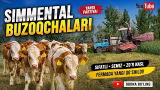 100$ Dan Masinasi🚛Xalq Kutgan Keldi Yashasin CHoRVAoDorlar🙌🏻
