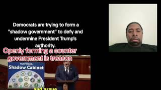 Democratic lawmakers are creating a shadow government to shut down DT Presidency