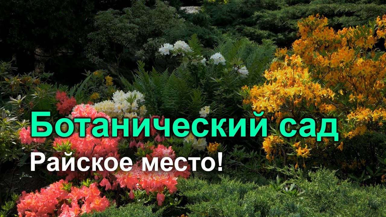 Ботанический сад. Лодзь, Польша - YouTube