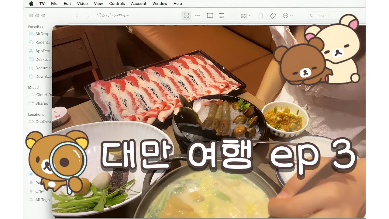 뽀야미와 함께한 대만 여행 3일차  | 여행 브이로그 #3 °• ☆ •°  | 여행· 망고빙수·훠궈·미니어처 박물관· 소소한 하루 기록