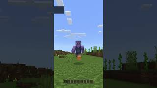 The Most Expensive Minecraft Marketplace Item... screenshot 5