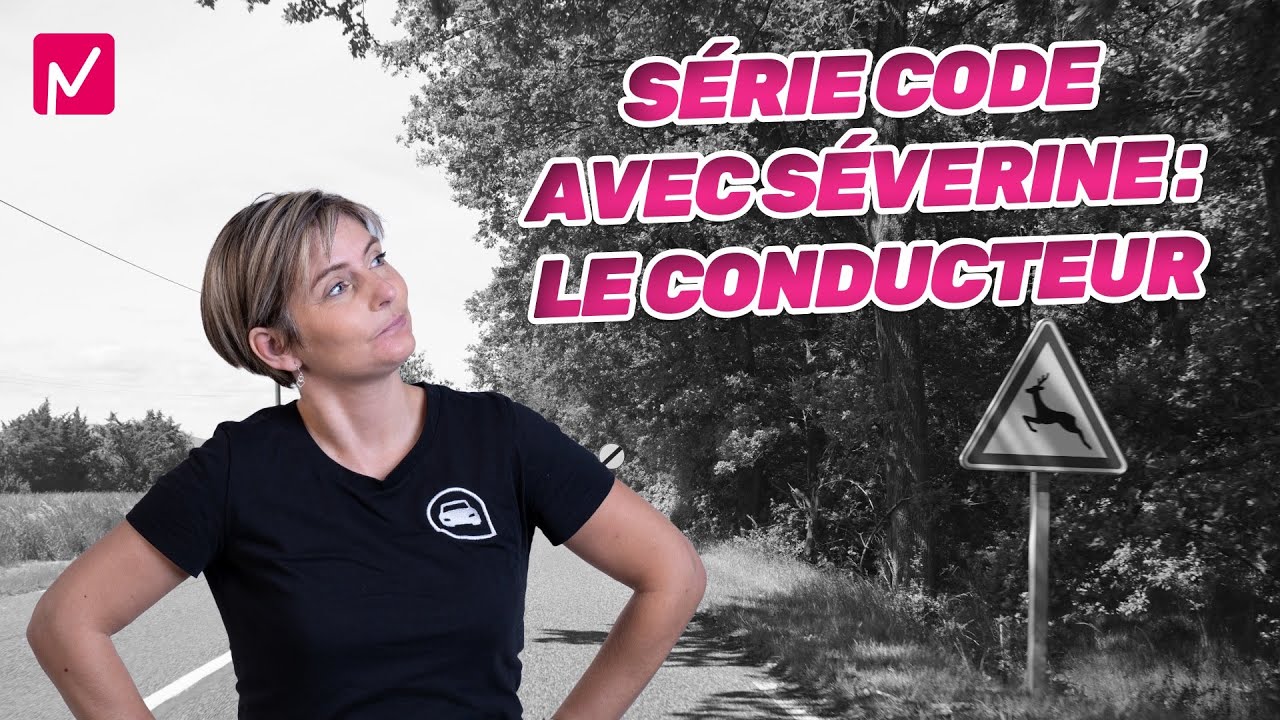 Série CODE DE LA ROUTE sur le thème : LE CONDUCTEUR