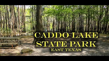 Caddo Lake State Park - 4K Video of ALL Campsites including Accessibility