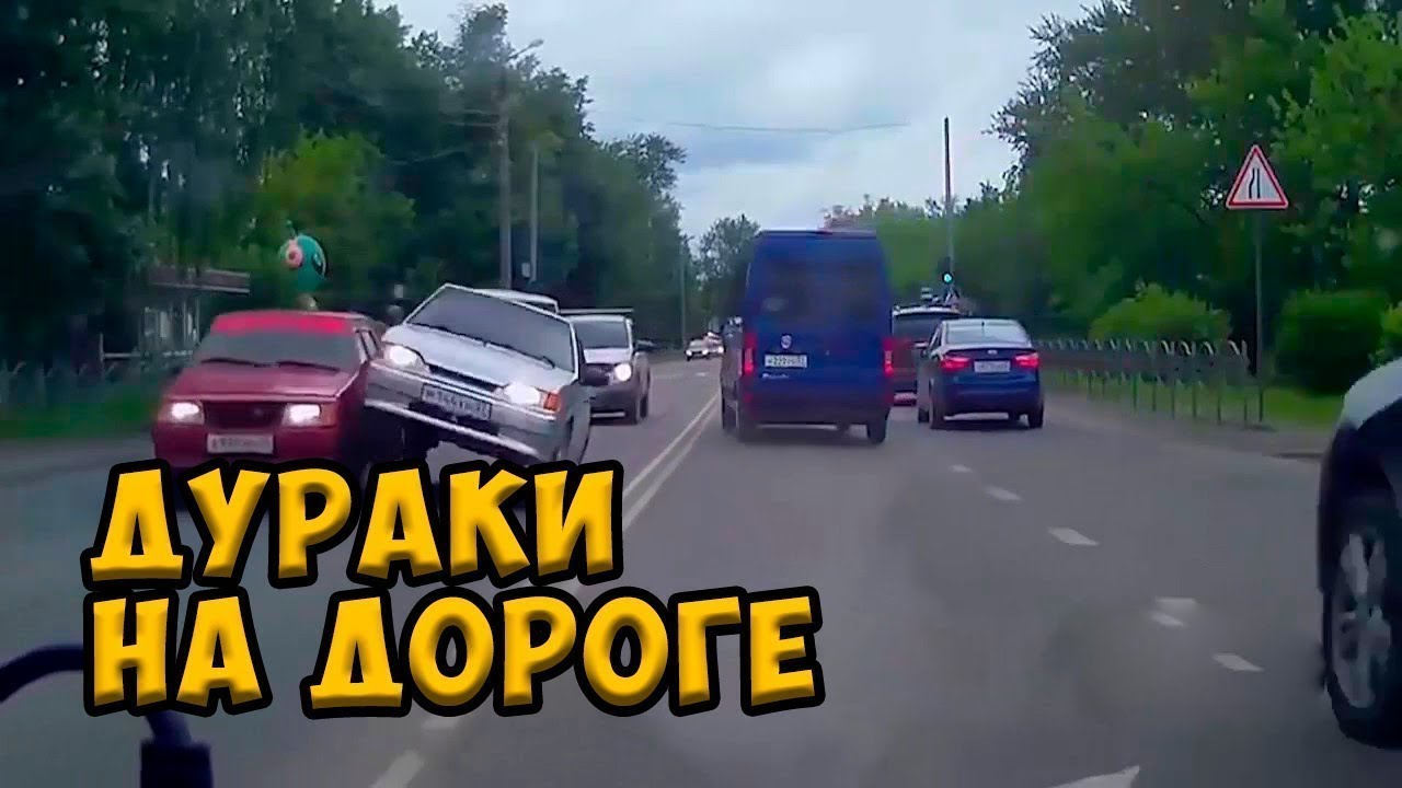 Воробей дураки на дорогах