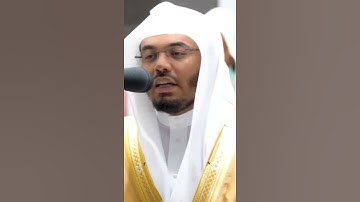 أفلا ينظرون إلى الإبل كيف خلقت~ تلاوة مؤثرة للشيخ ياسر الدوسري "سورة الغاشية" حالات واتس اب ❤