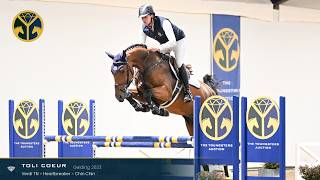 11 Toli Coeur (Verdi TN x Heartbreaker) gelding, 2023 - TYA 2026 - 360 video