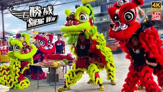 Lion Dance by KL Sheng Wai 吉隆坡胜威 @ Kundang 神诞喜庆 青红双狮 醒狮採青 鼓乐伴奏 民间传统