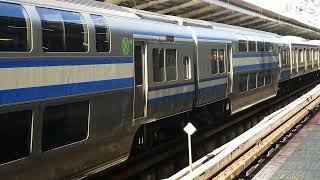E217系横クラY-46編成横浜駅発車