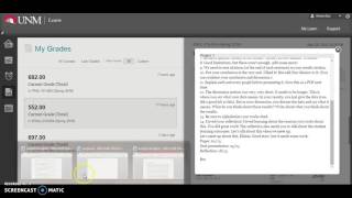 Revisions Reflection