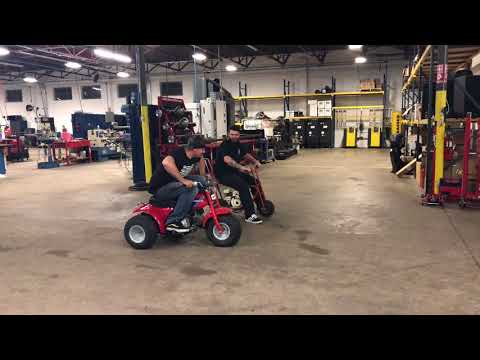 Mini Bike vs. Trike