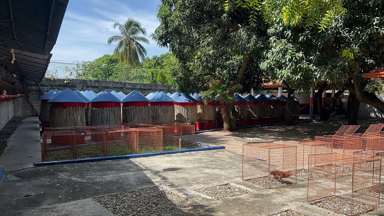 Traba el Encanto Wilo Marrero открывает нам свои двери