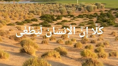 كَلَّا إِنَّ الْإِنسَانَ لَيَطْغَى | محمد صديق المنشاوي | سورة العلق برواية خلف عن حمزة