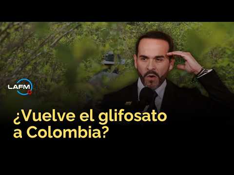 Is glyphosate returning to Colombia? The long road the government faces to spray coca