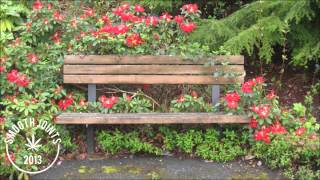 Saint Germain - So Flute