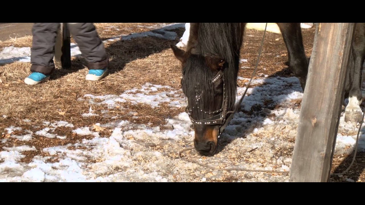 Тест BMPCC и speedbooster Kipon EF-m4/3 AF 0,7x