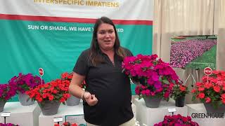 CAST 2022: Solarscape Impatiens