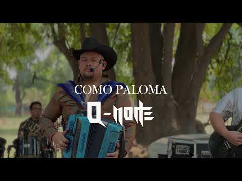 COMO PALOMA - Q Norte (LIVE) 2023