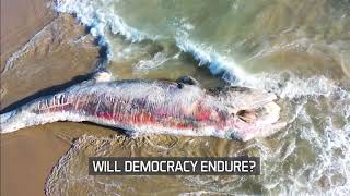 The Eny Climate Change 2647 By David A. Collier