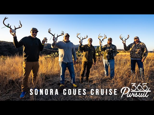 Sonora Mexico Coues Hunt ( 5 for 5 ) class=