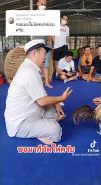 kabar Yokere di Kowsem Farm Thailand