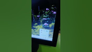 Hidden icon ko Task bar me kaise laaye 💯🖥️    #shorts #ytshorts #viral #trending #computerknowledge