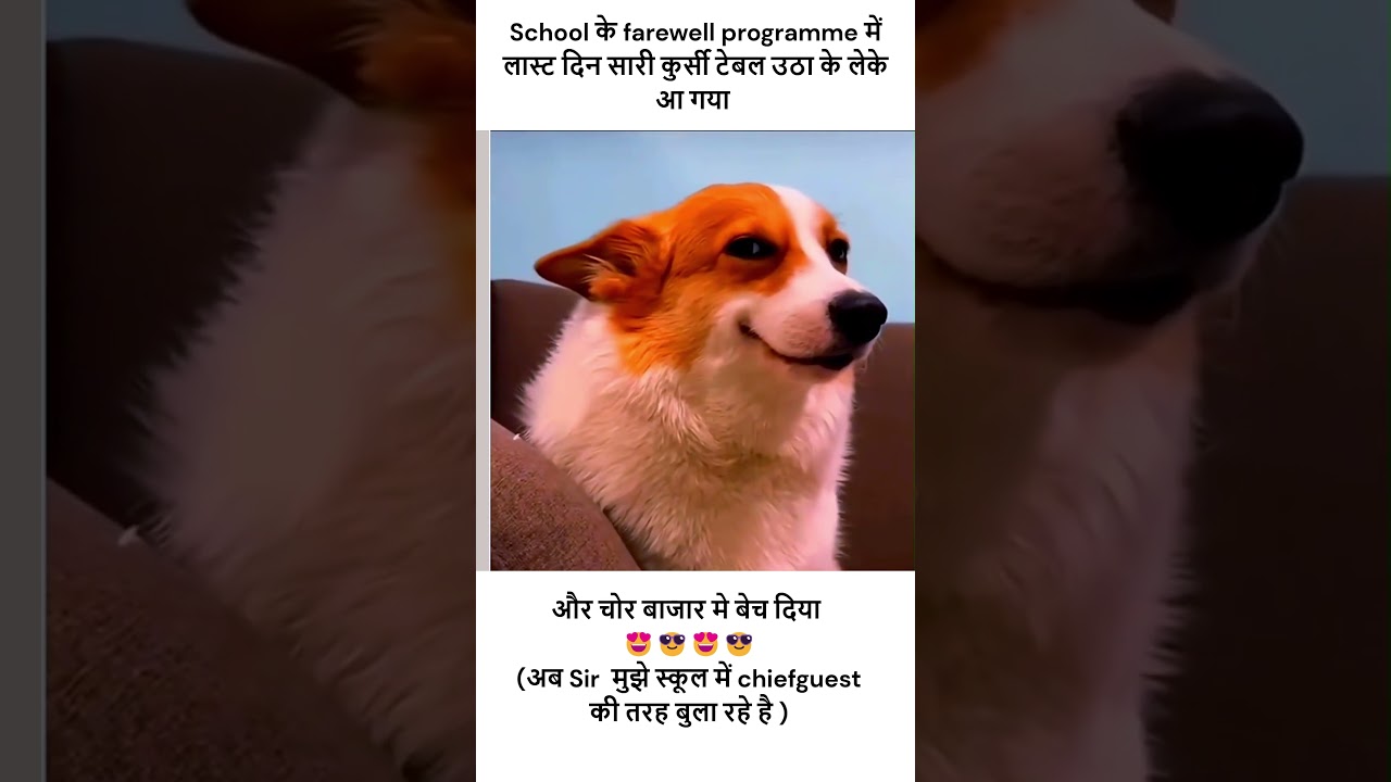 School Ka maal 💀☠️ 