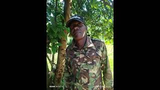 Kimur Metit Chepkirui By Flaction Ngeno Ft Makibe