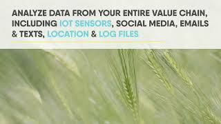 How Artificial Intelligence can help commodities business? Wealth