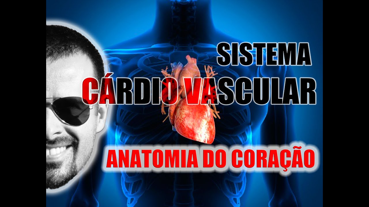 fisiologia patologica Sistema Cardiovascular - Coração: Anatomia, localização e envoltórios (camadas) - VideoAula 045
