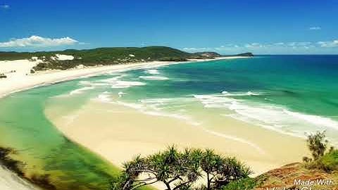 سورة الجاثية بصوت القارئ: محمد عبد الحكيم هائل ،منقولة من صلاة التراويح