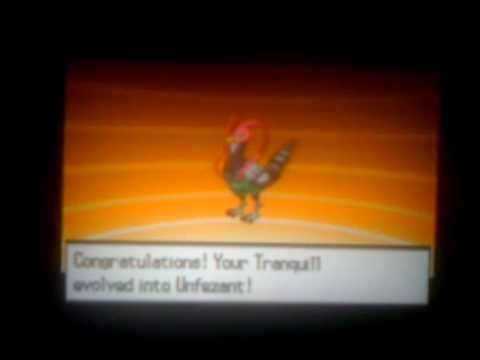 Male Tranquil Evolving Into Unfezant Pokemon White Version Youtube