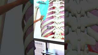 The Impact Of Quantum Computing On Encryption Is Encryption At Risk?