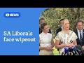 SA Liberals face wipeout not seen since state bank election | ABC NEWS