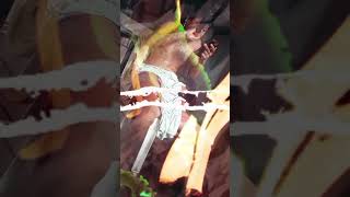 ACK 16BARS CHALLENGE