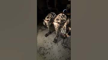 Citra nosey robot progress report N99 ( ORIGINAL VIDEO ) #citra #nosey #robot #escape #fyp