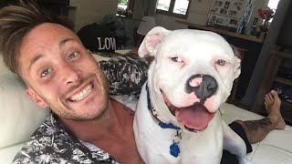 Ein Typ Postet Ein Bild Mit Seinem Neuen Hund Und Die Leute Rufen Sofort Die Polizei